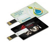 Pen card plstico